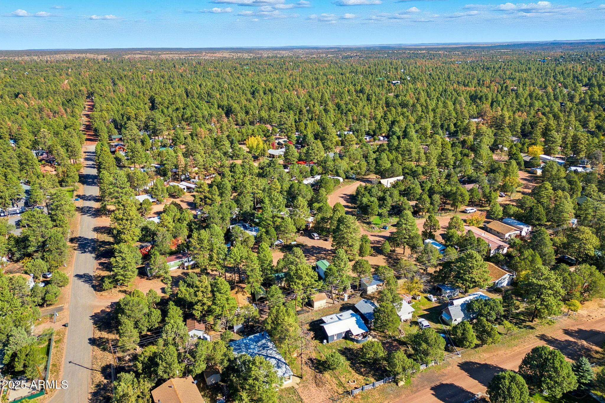 2169 Tenderfoot Trail Overgaard, AZ 85933 - Photo 29 of 30 a view of a green field