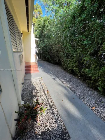 a view of a pathway with a plants
