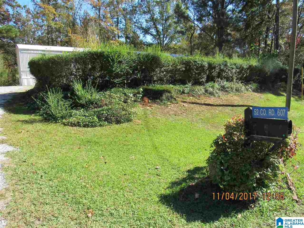 52 County Road 607 Clanton, AL 35046 - Photo 1 of 33