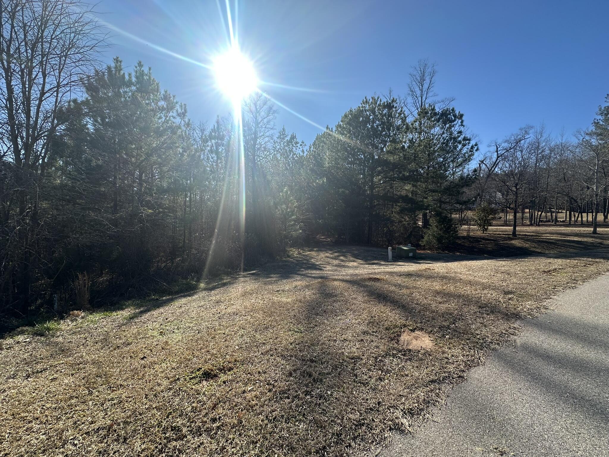 781 William Avenue Appling, GA 30802 - Photo 3 of 17 IMG_1595