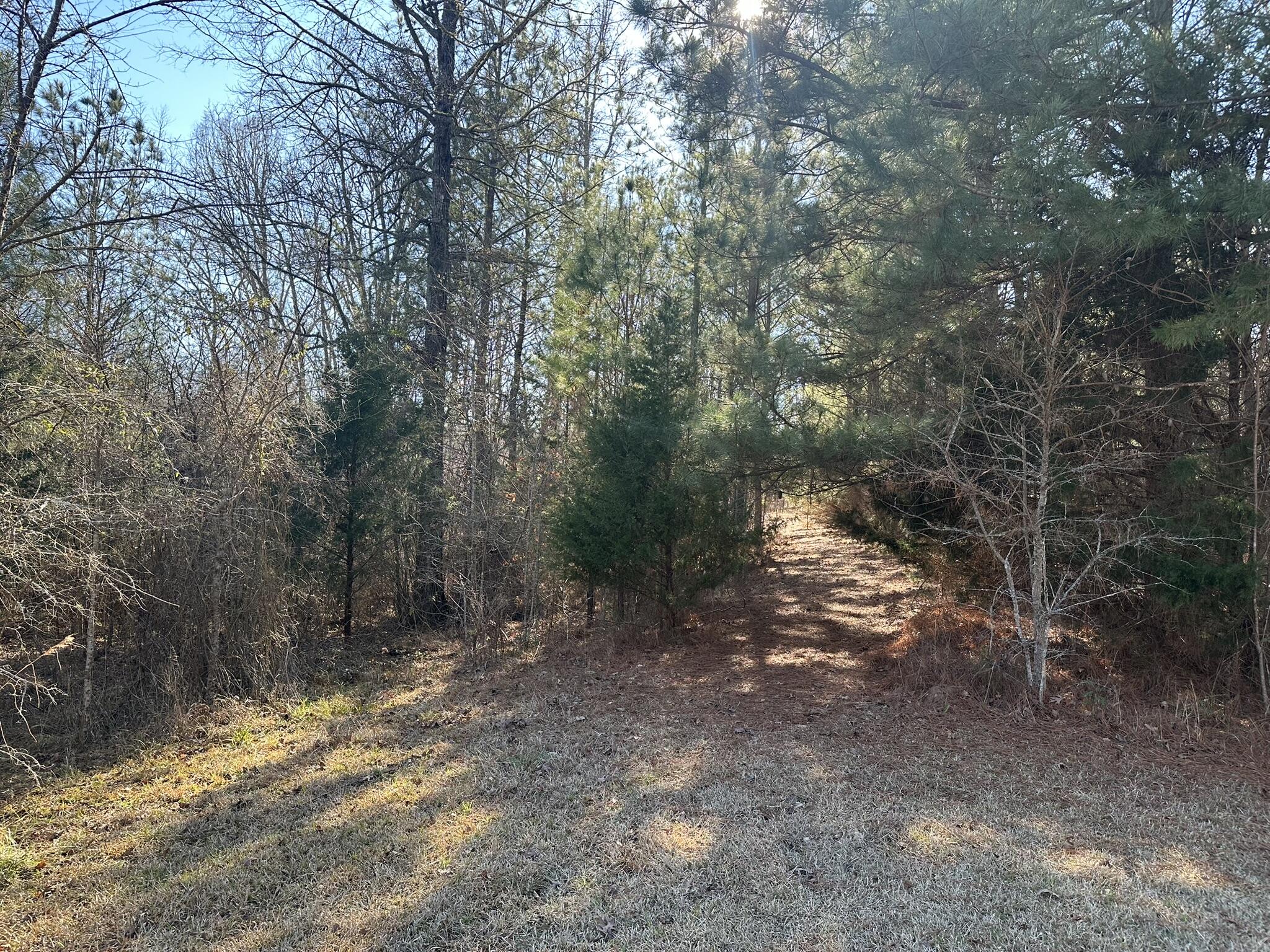 781 William Avenue Appling, GA 30802 - Photo 4 of 17 IMG_1596