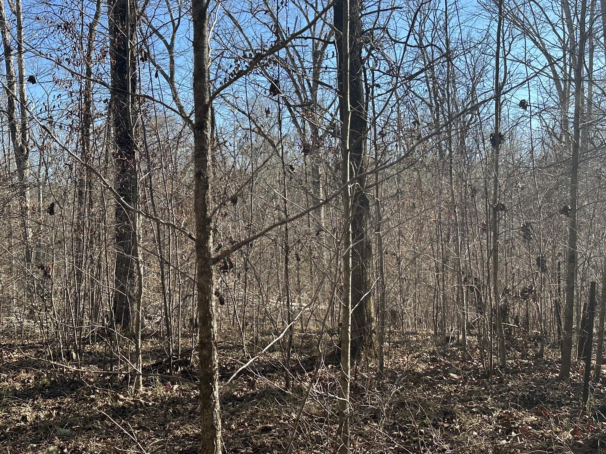 781 William Avenue Appling, GA 30802 - Photo 6 of 17 IMG_1598