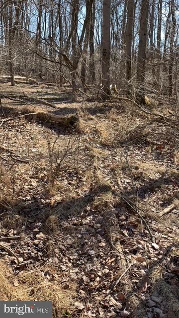 4375 Federal Hill Road Street, MD 21154 - Photo 20 of 21 Gallery Image 20