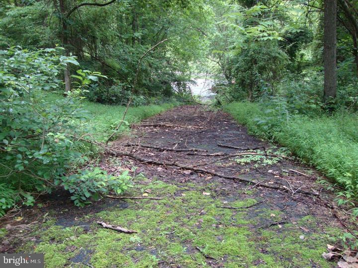 Six acre wooded building lot