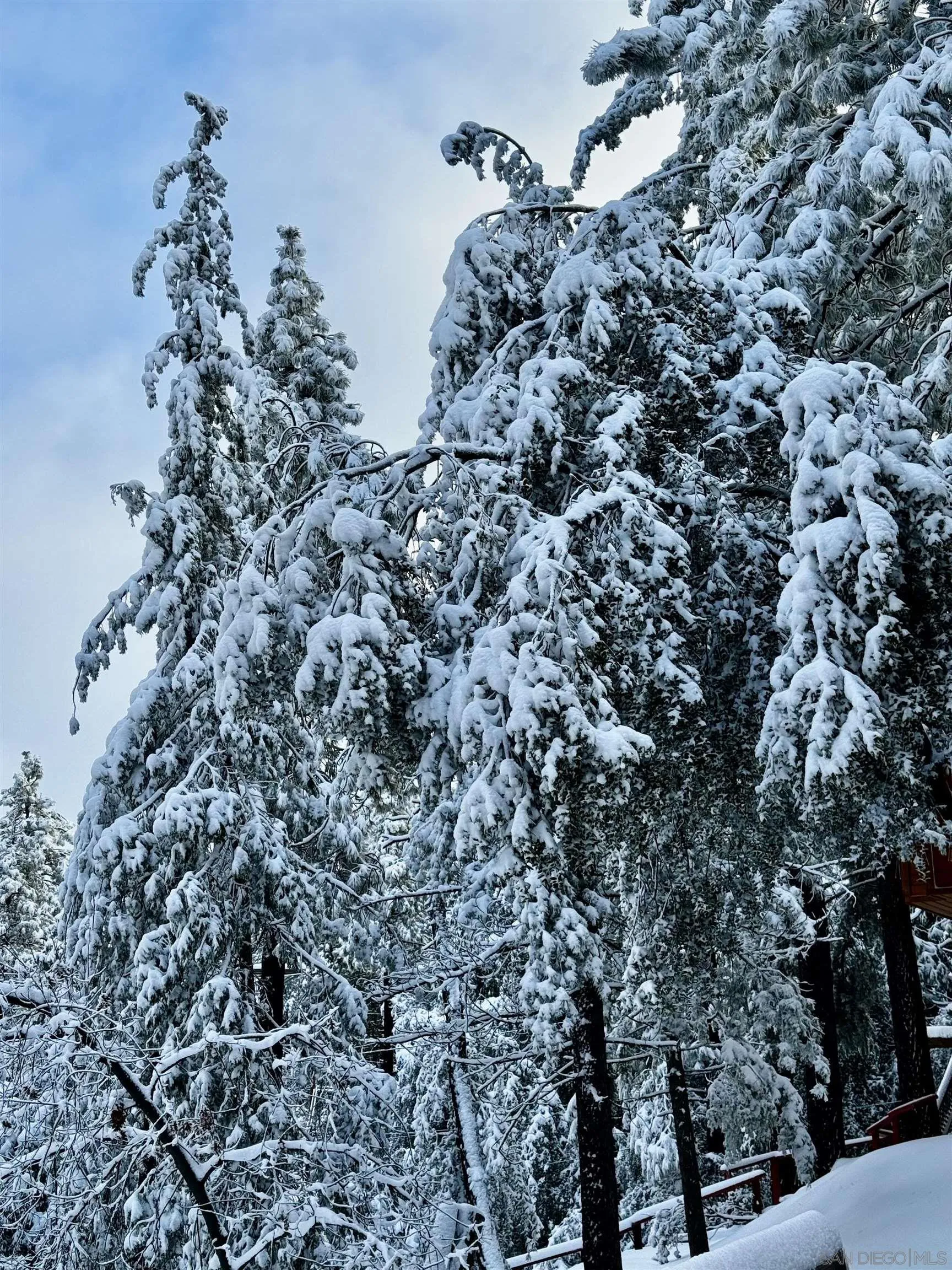 27720 Saunders Meadow Road Idyllwild, CA 92549 - Photo 50 of 61