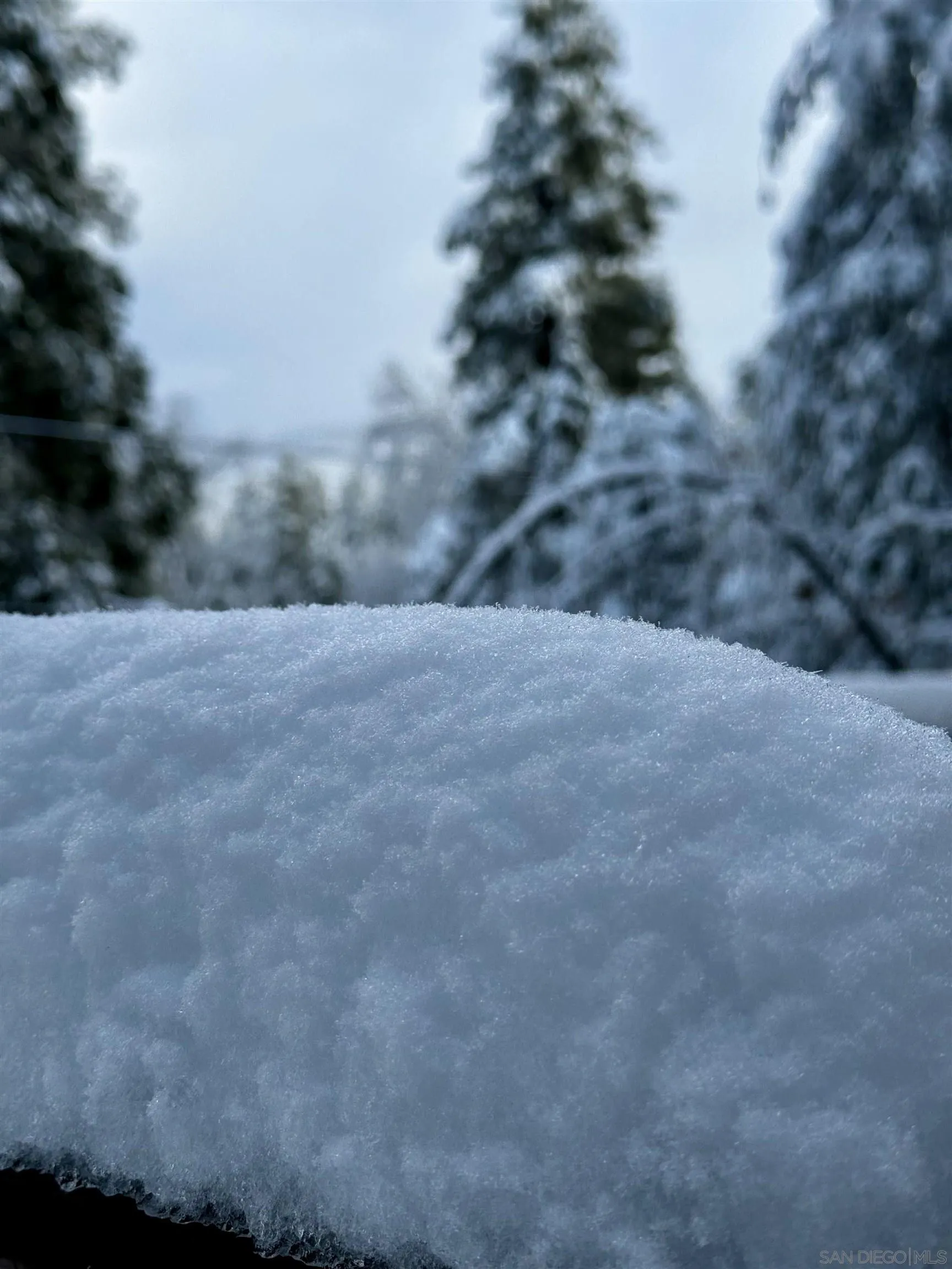 27720 Saunders Meadow Road Idyllwild, CA 92549 - Photo 52 of 61