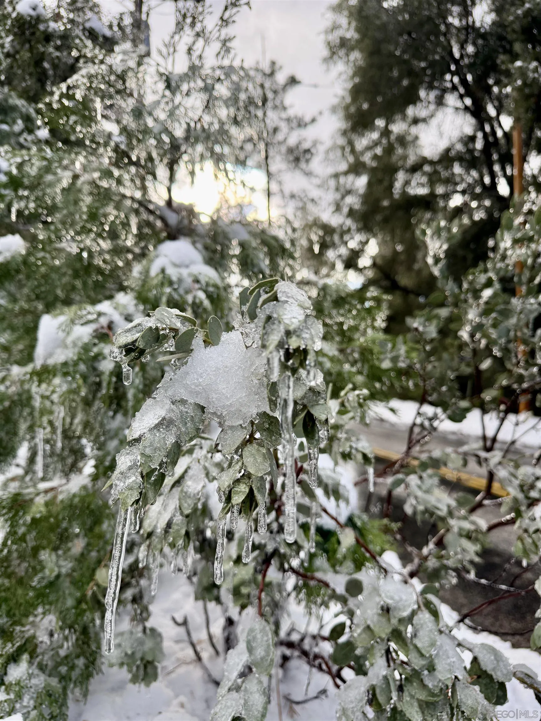 27720 Saunders Meadow Road Idyllwild, CA 92549 - Photo 58 of 61