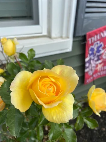 $459,999 | 262 Homeland Drive, Whitman, MA 02382