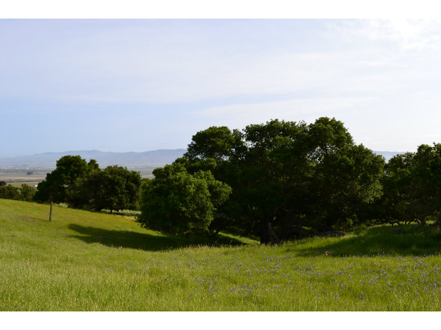 884 River Road Salinas, CA 93908 - Photo 2 of 2 Gallery Image 2