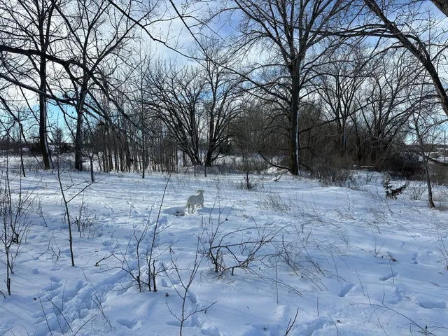 $585,000 | 10 Co Highway 10, Fergus Falls, MN 56537