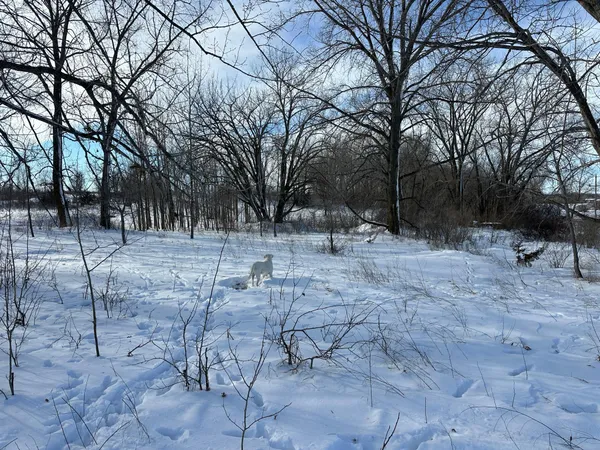 $585,000 | 10 Co Highway 10, Fergus Falls, MN 56537