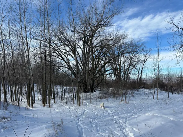 $585,000 | 10 Co Highway 10, Fergus Falls, MN 56537
