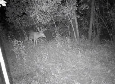 $585,000 | 10 Co Highway 10, Fergus Falls, MN 56537