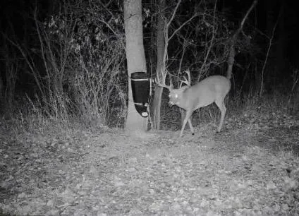 $585,000 | 10 Co Highway 10, Fergus Falls, MN 56537