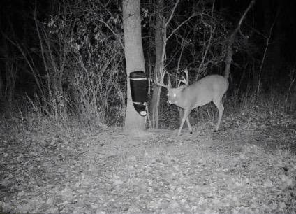 10 Co Highway 10 Fergus Falls, MN 56537 - Photo 30 of 34