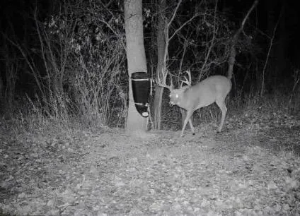 $585,000 | 10 Co Highway 10, Fergus Falls, MN 56537