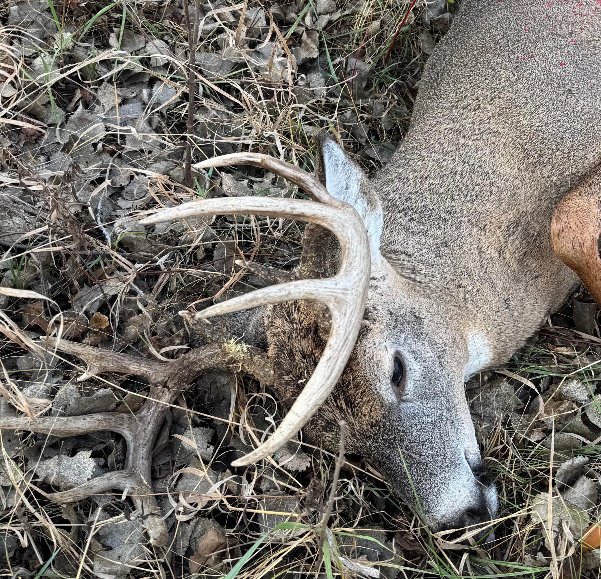 10 Co Highway 10 Fergus Falls, MN 56537 - Photo 31 of 34