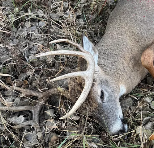 $585,000 | 10 Co Highway 10, Fergus Falls, MN 56537