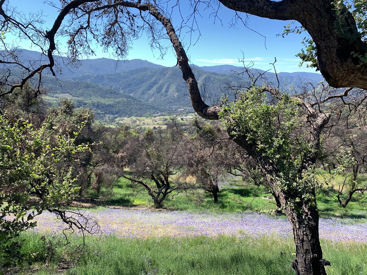 0 Cachagua Road Carmel Valley, CA 93924 - Photo 13 of 14