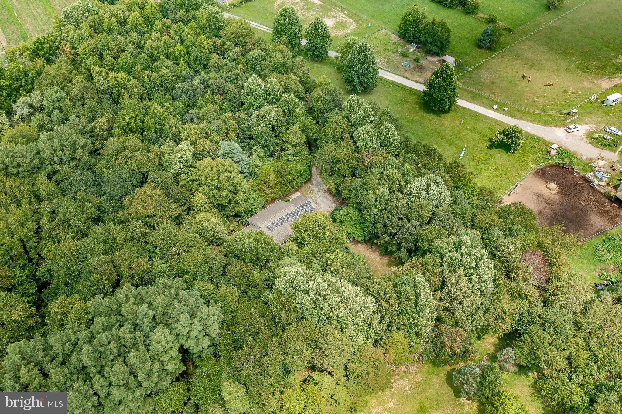 2114 Fast Landing Road Dover, DE 19901 - Photo 36 of 37 Aerial view