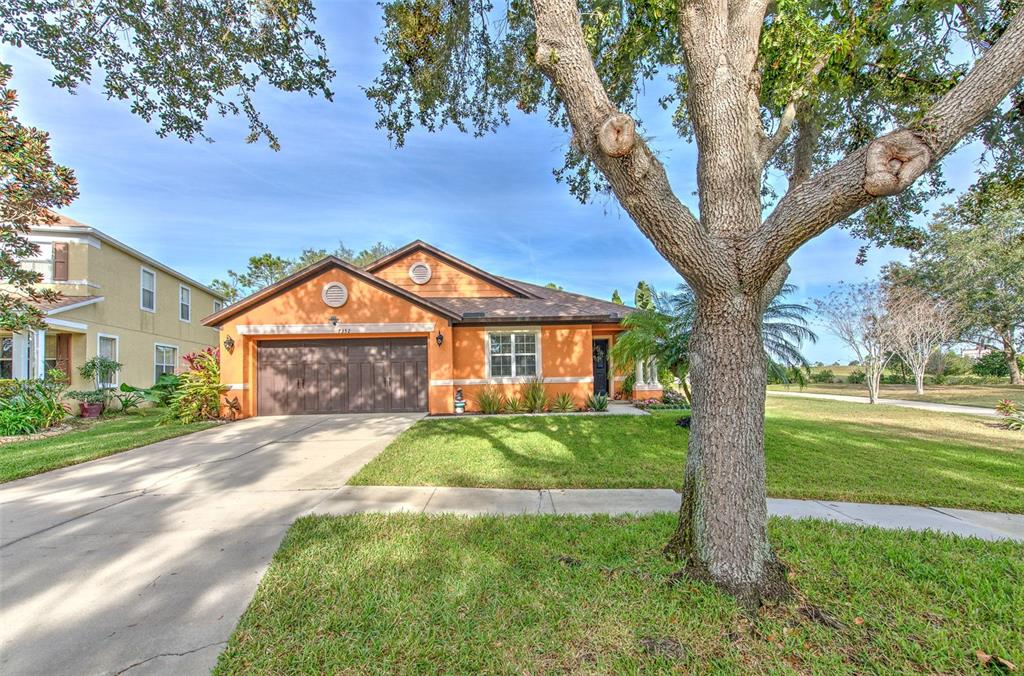 7352 Bridgeview Drive Zephyrhills, FL 33545 - Photo 3 of 49 a front view of a house with yard and green space