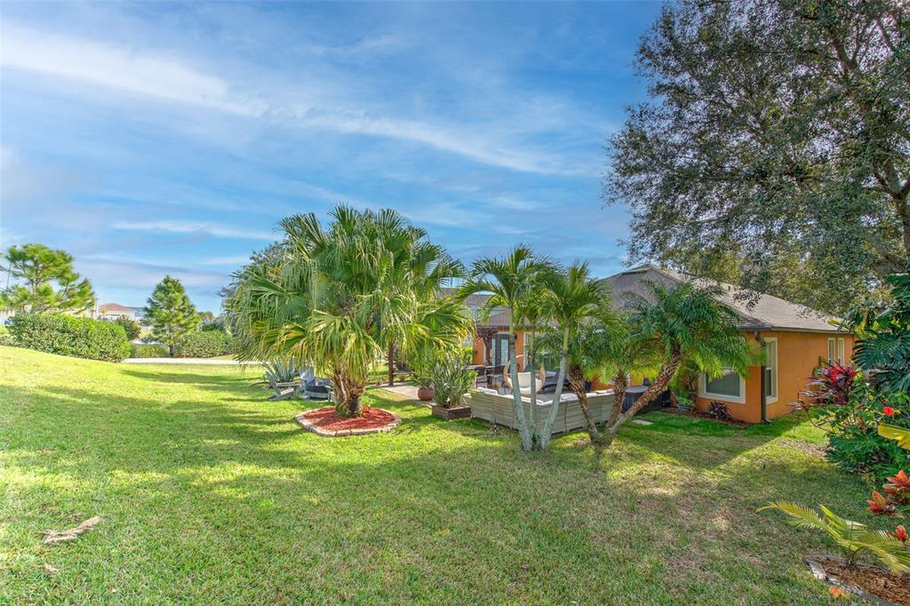 7352 Bridgeview Drive Zephyrhills, FL 33545 - Photo 37 of 49 a backyard of a house with table and chairs plants and large tree