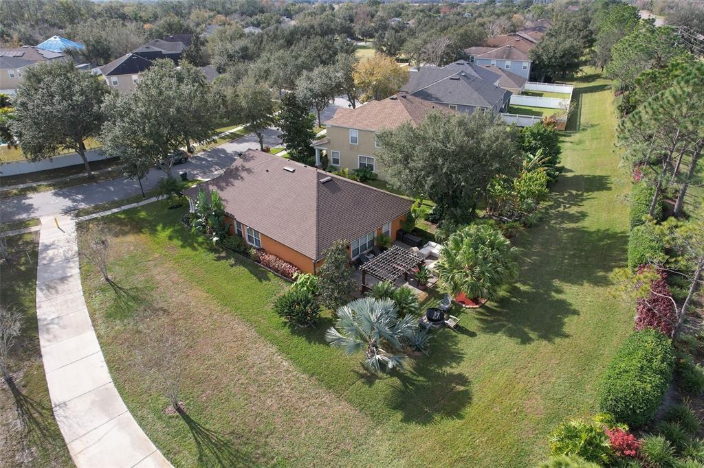 7352 Bridgeview Drive Zephyrhills, FL 33545 - Photo 42 of 49 an aerial view of residential houses with outdoor space and trees all around