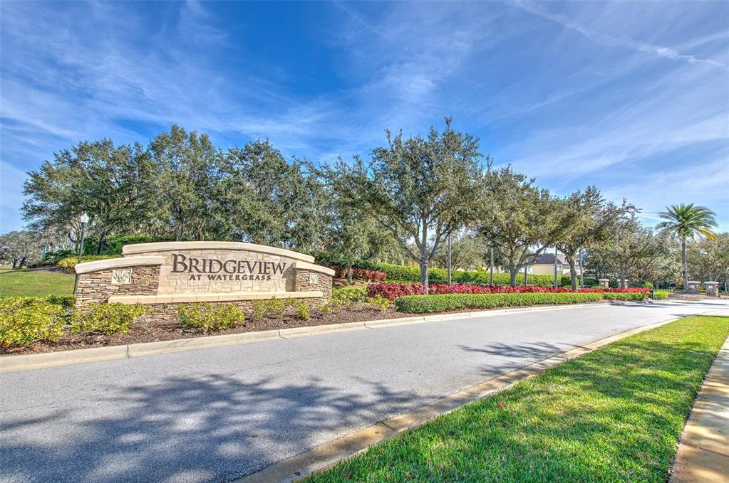 7352 Bridgeview Drive Zephyrhills, FL 33545 - Photo 43 of 49 a view of a street with a building in the background