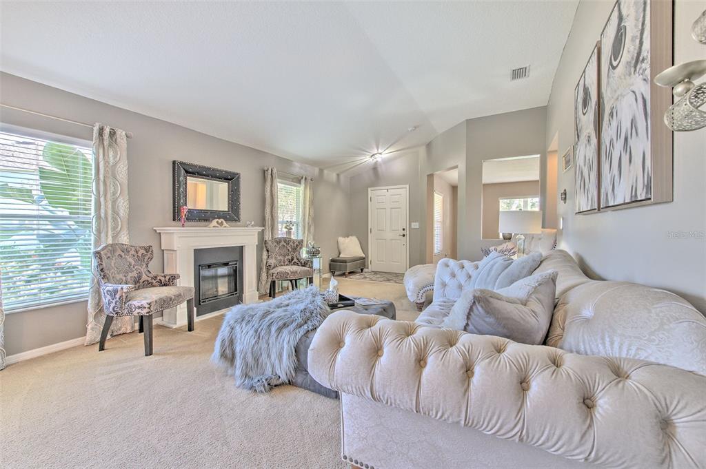 7352 Bridgeview Drive Zephyrhills, FL 33545 - Photo 9 of 49 a living room with furniture fireplace and a window