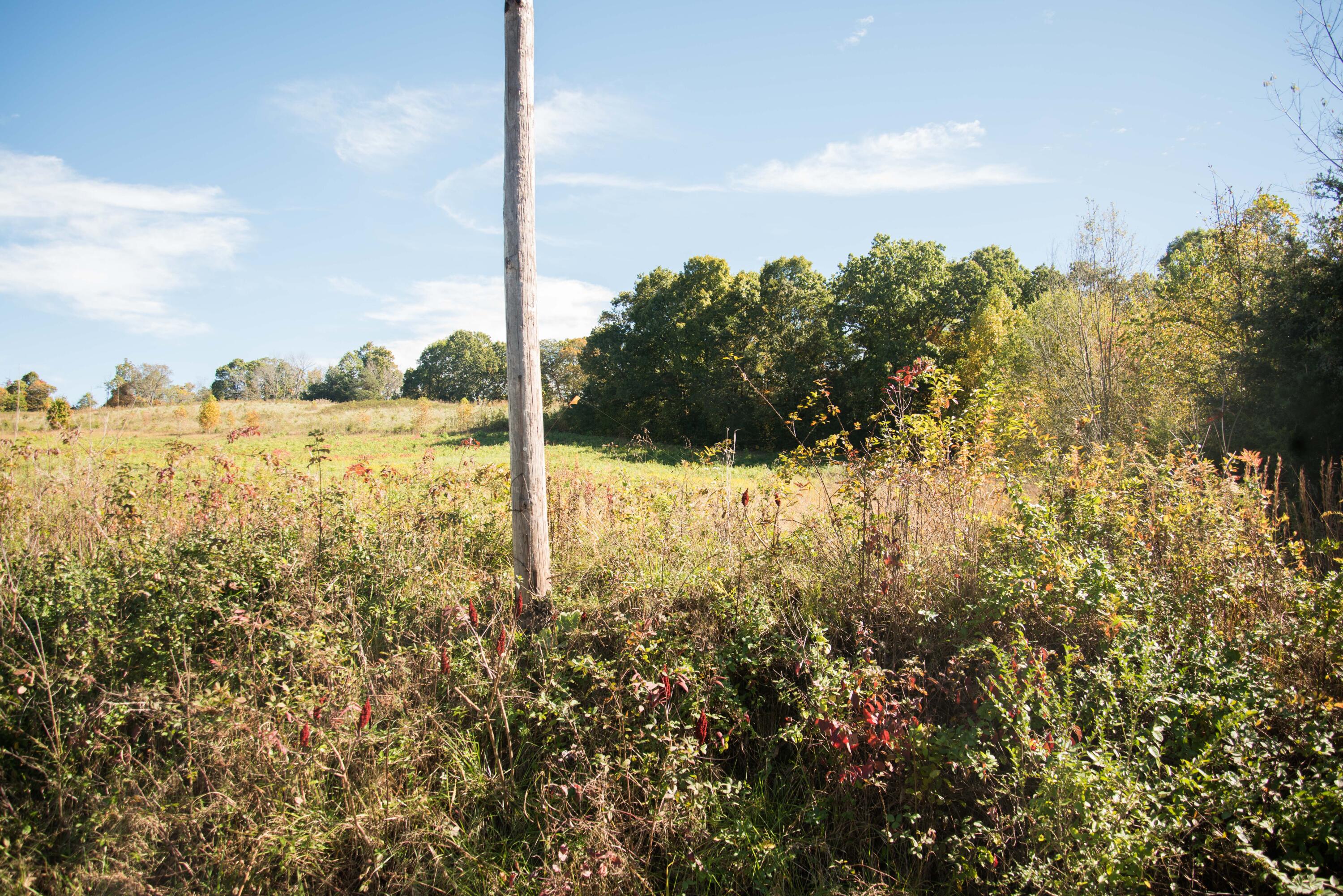 Lot 33 Whitehouse Road, Unit 33 Greeneville, TN 37745 - Photo 1 of 5 20171227-DSC_6490