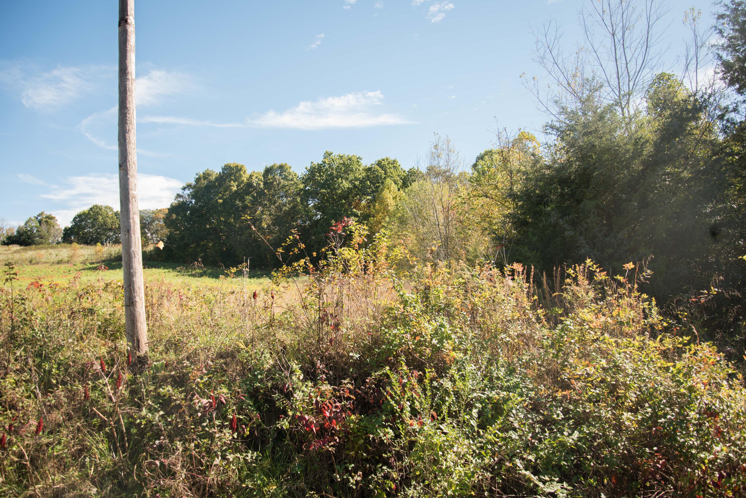 Lot 33 Whitehouse Road, Unit 33 Greeneville, TN 37745 - Photo 5 of 5 20171227-DSC_6489
