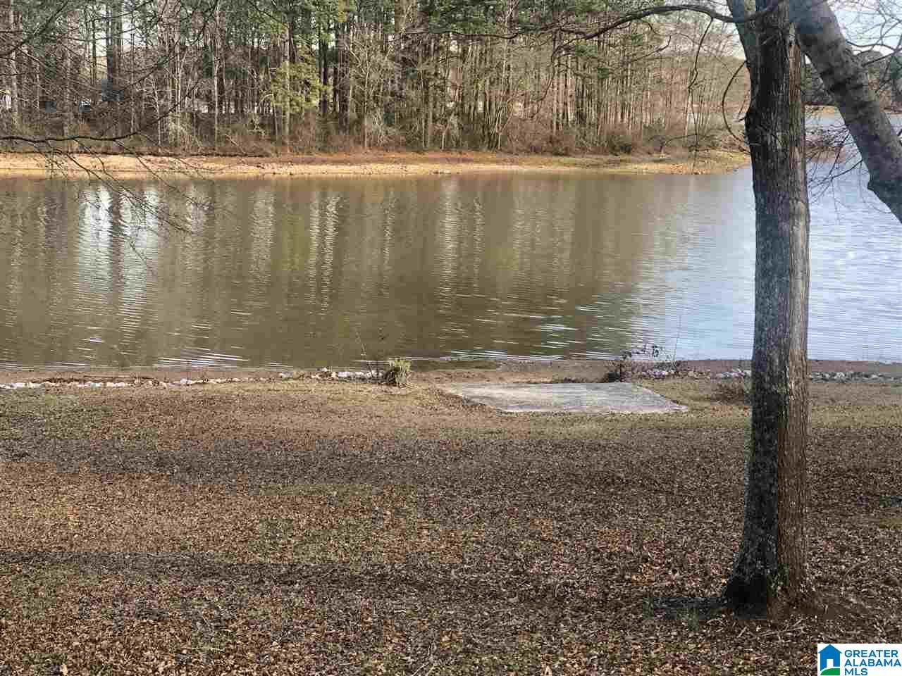 391 Seddon Road Riverside, AL 35135 - Photo 31 of 40