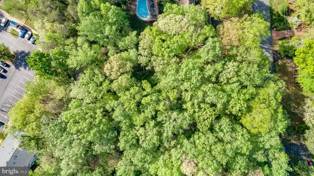 a view of a lush green forest with lots of trees