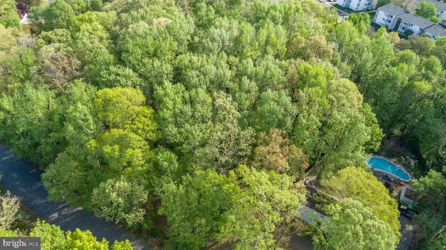 a close up of a plant