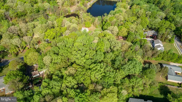 a view of a big yard with plants and a sink