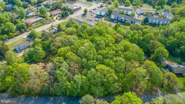 a view of a lush green forest with lots of trees