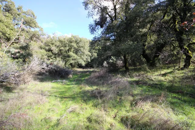 a view of swimming pool with a yard
