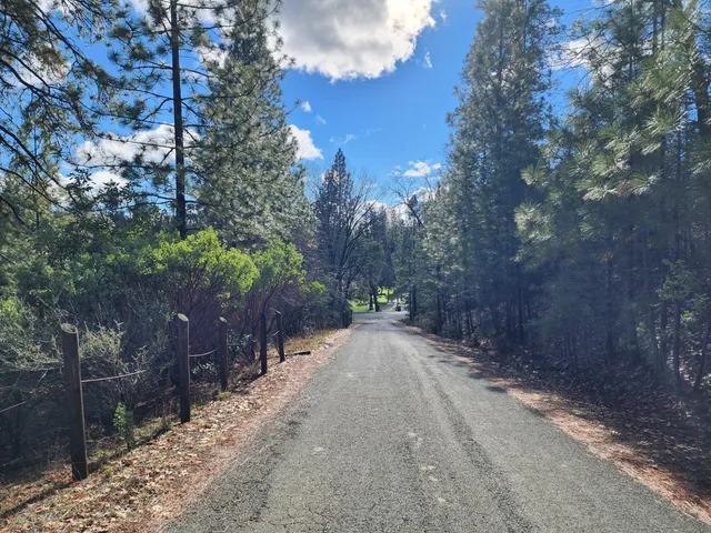 a wooden bench with trees in the background