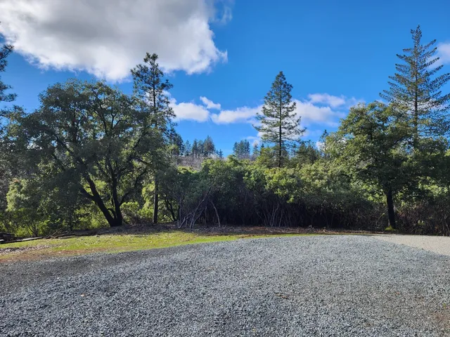 a view of a yard in front of a house