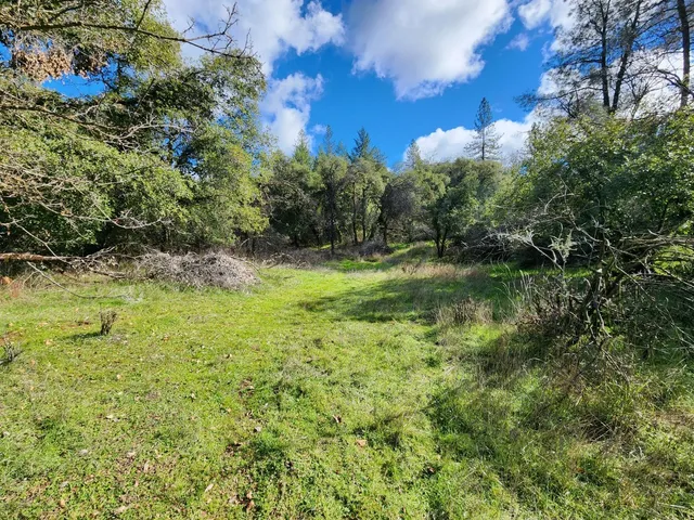 a view of a garden with a house