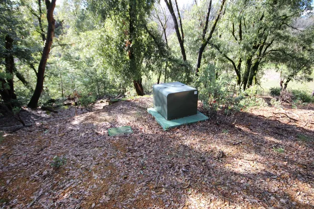 a view of a backyard with large trees