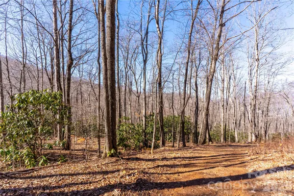 a view of outdoor space with trees