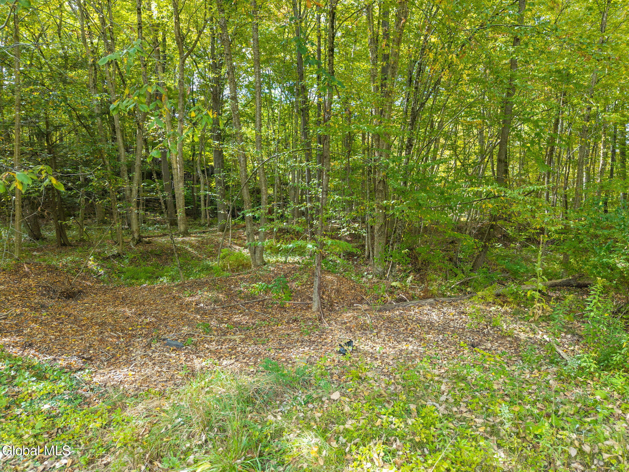 332 Hammondtown Road Amsterdam, NY 12010 - Photo 13 of 25 26-332HammondtownRd_26