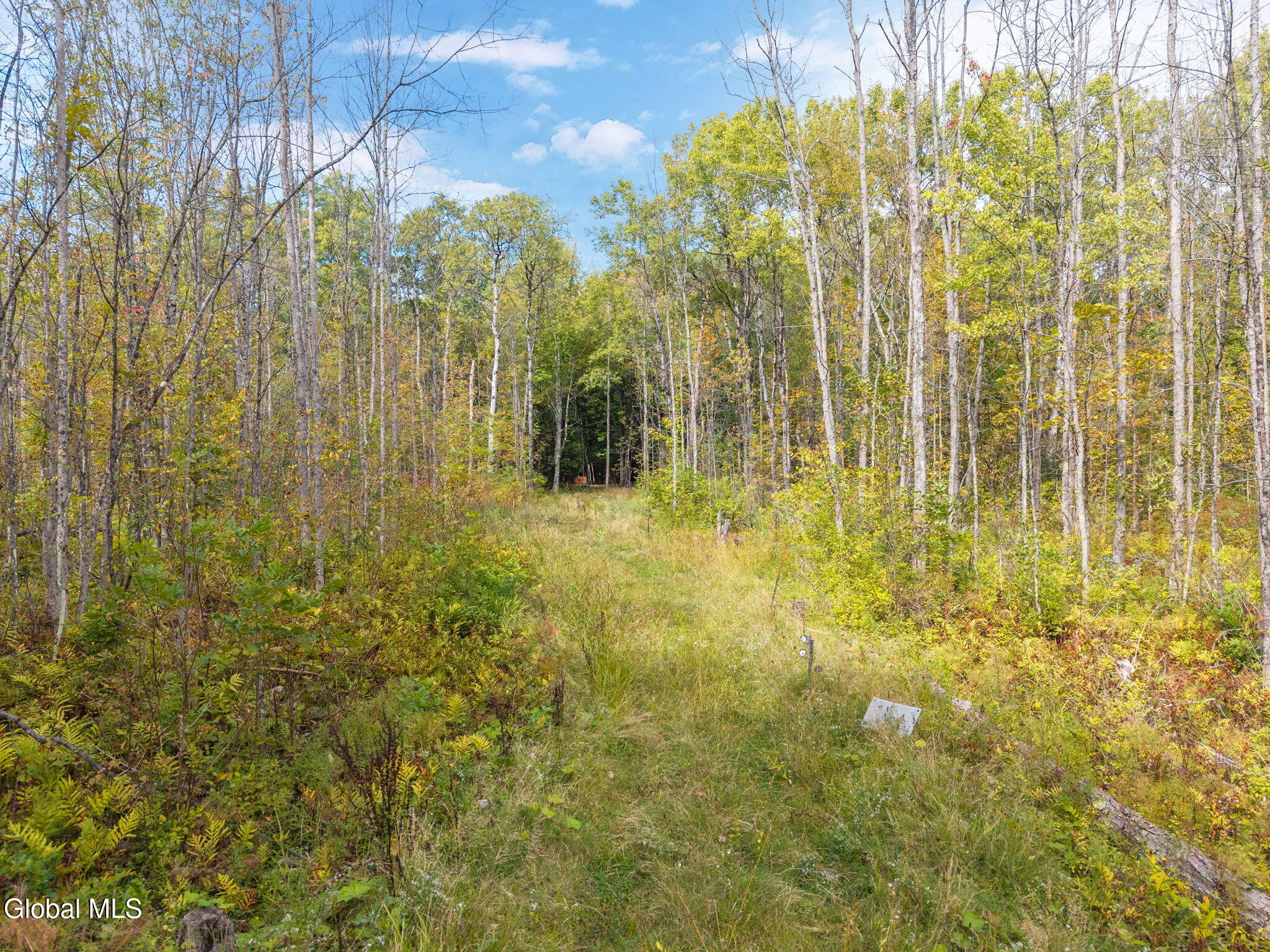 332 Hammondtown Road Amsterdam, NY 12010 - Photo 14 of 25 27-332HammondtownRd_27