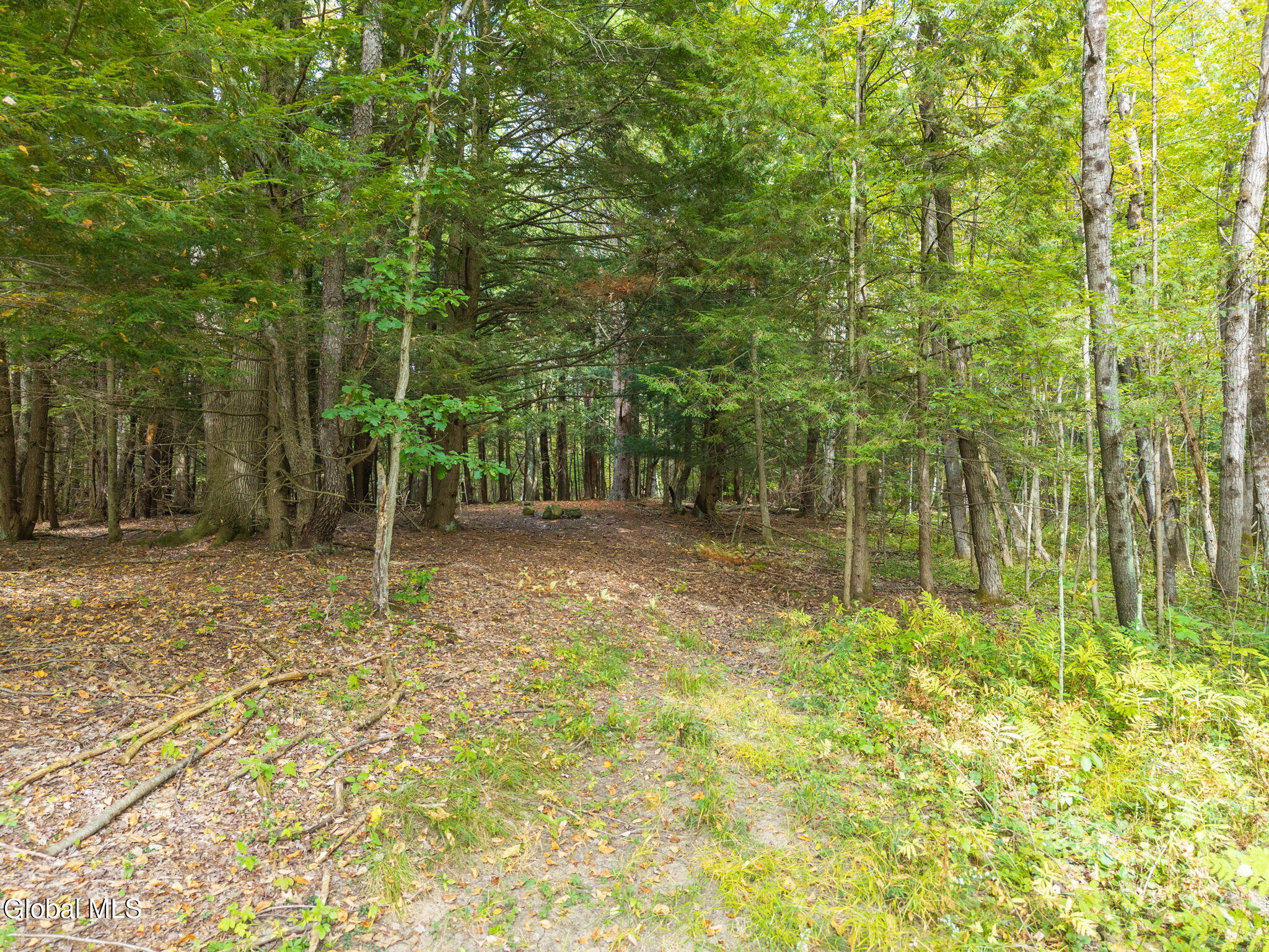 332 Hammondtown Road Amsterdam, NY 12010 - Photo 16 of 25 29-332HammondtownRd_29