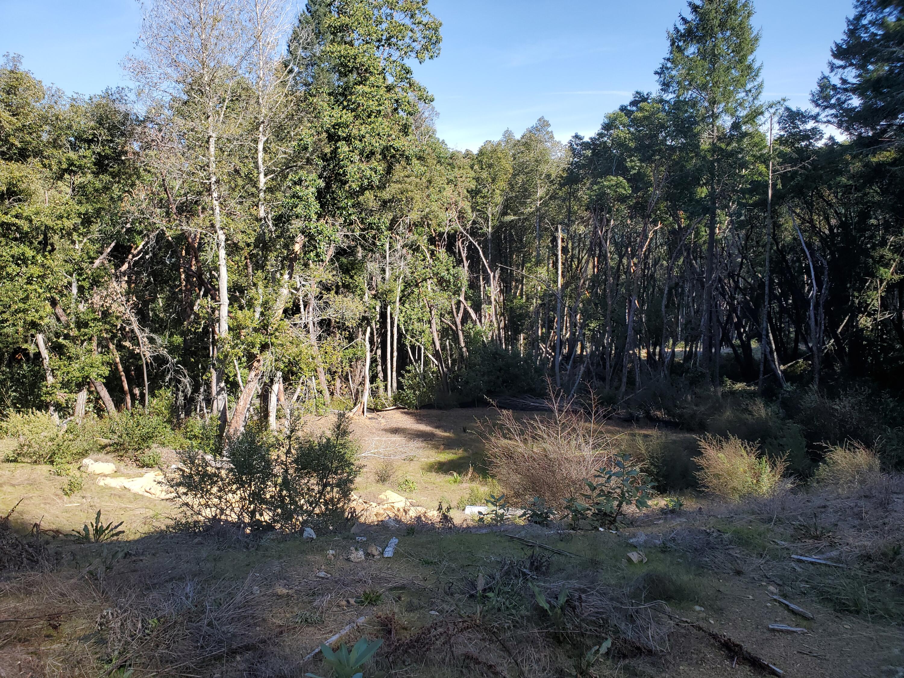 700 Willow Road Alderpoint, CA 95511 - Photo 13 of 19