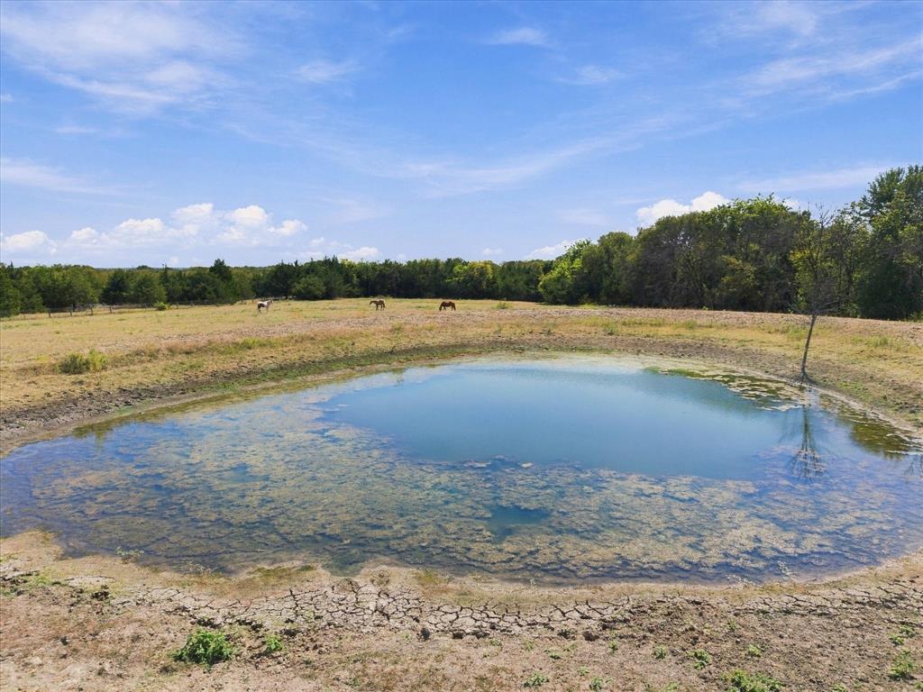 7-ac Anna Cade Road Rockwall, TX 75087 - Photo 11 of 21 Gallery Image 11