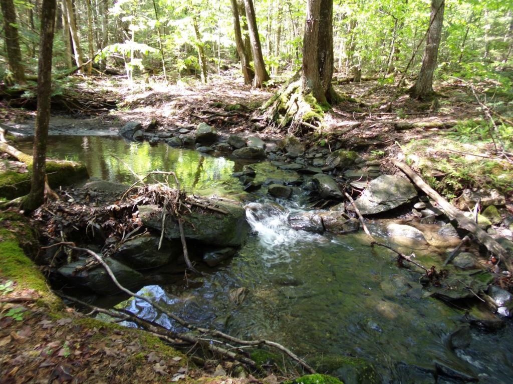 1289 Milo Road Sebec, ME 04481 - Photo 29 of 31 Photo