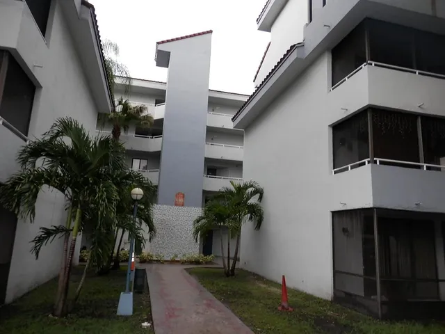 a potted plant sitting in front of a house