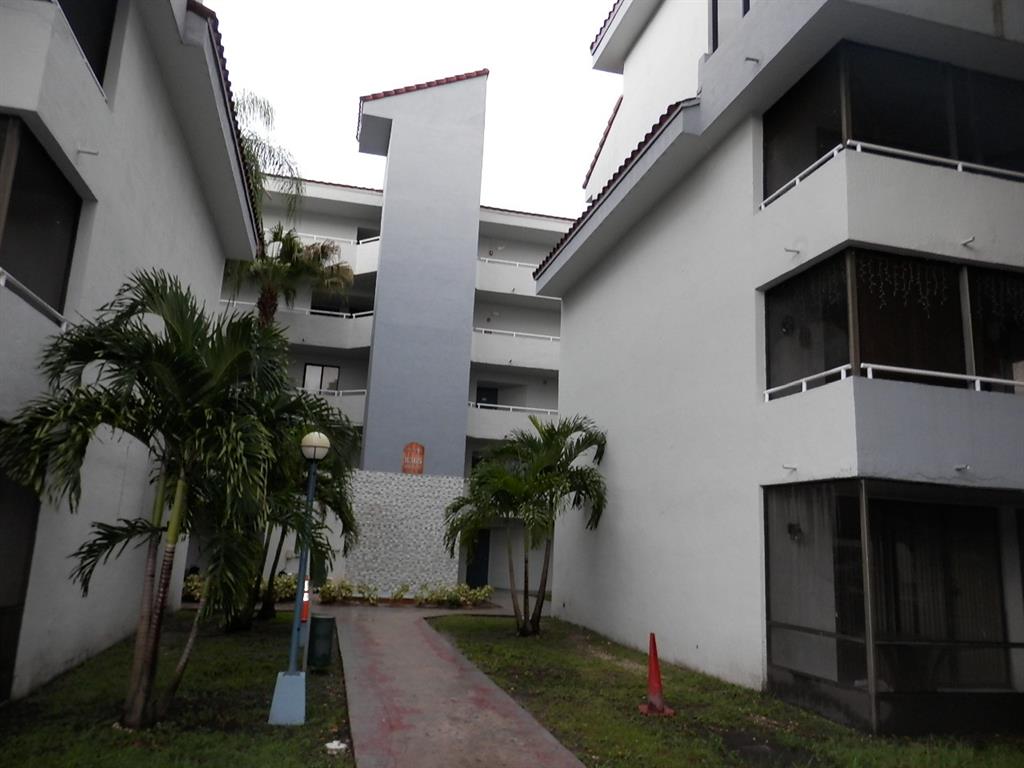 a potted plant sitting in front of a house